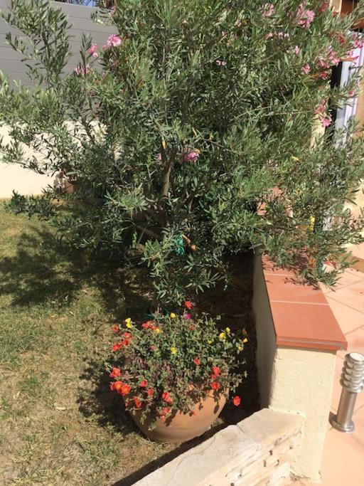 הוילה Pélissanne Au Pied Du Massif Des Costes מראה חיצוני תמונה