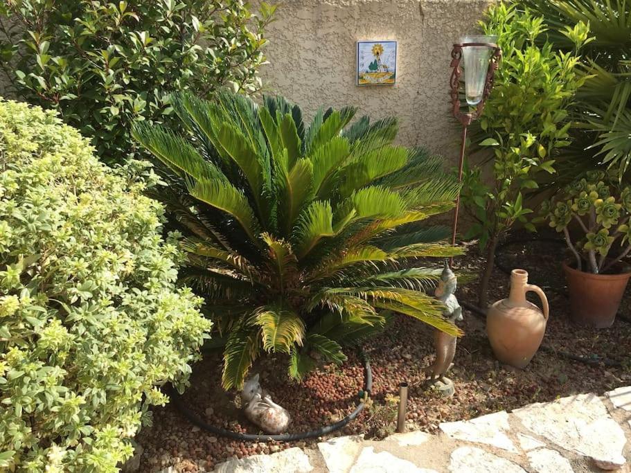 הוילה Pélissanne Au Pied Du Massif Des Costes מראה חיצוני תמונה